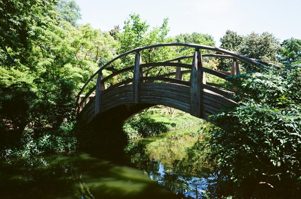 Wooden bridge over water, representing moving forward after separation